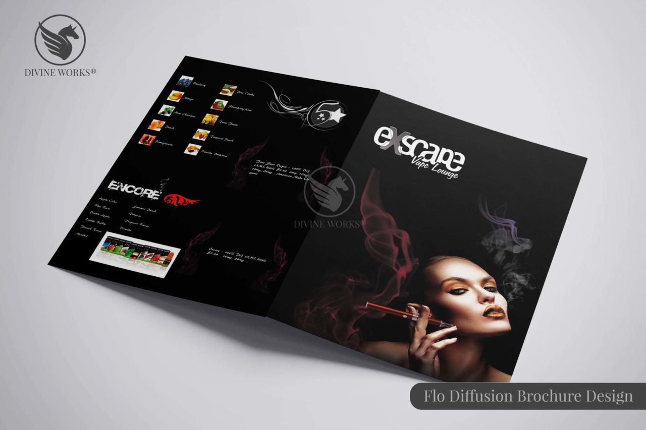 Flodiffusion Brochure Design By Divine Works