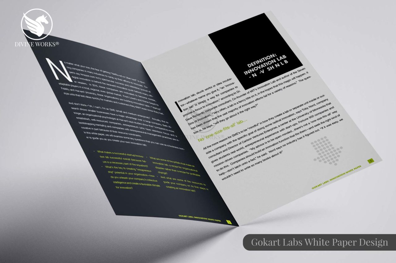 Gokart Labs White Paper Design By Divine Works