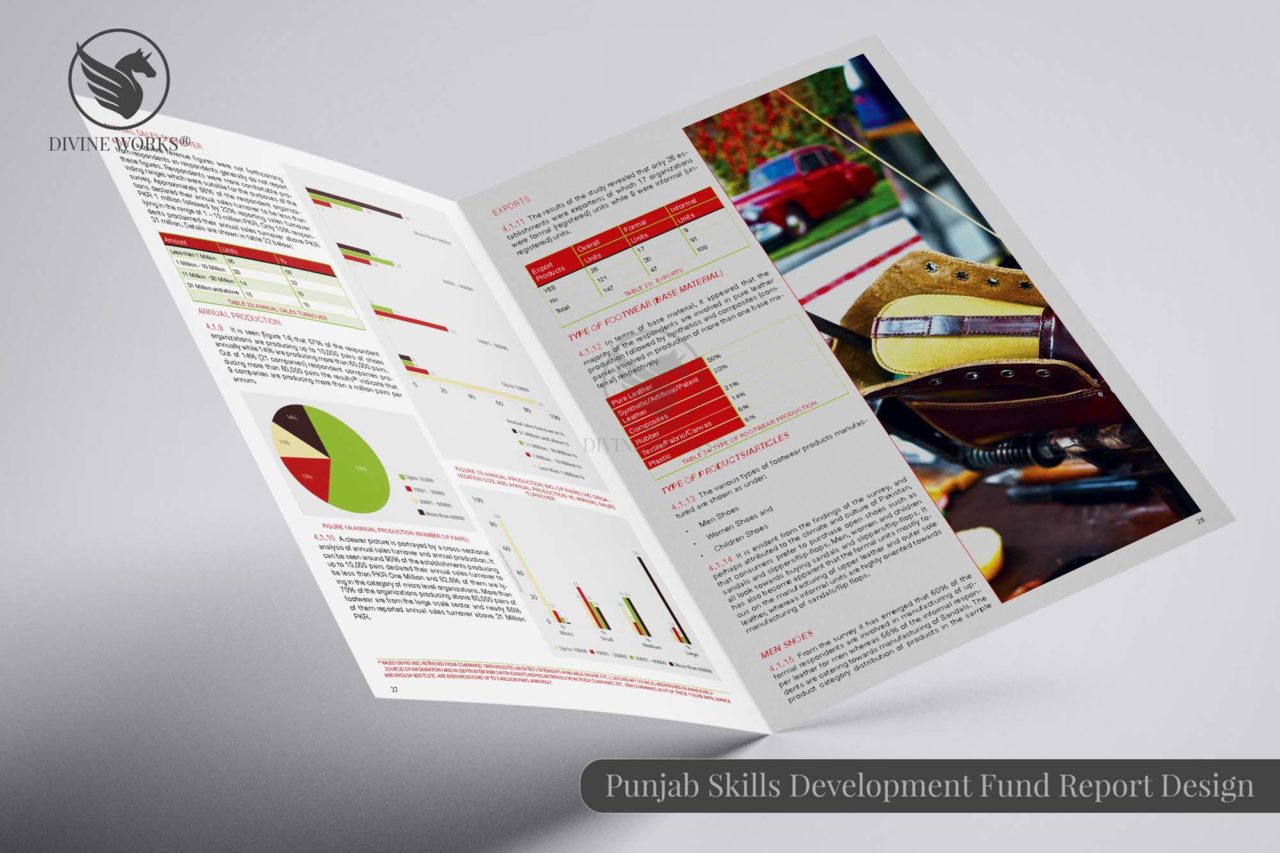 PSDF Report Design By Divine Works