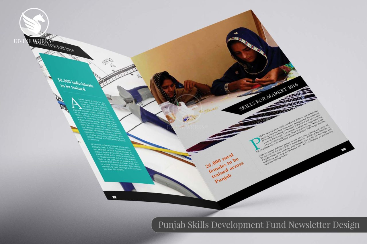PSDF Report Design By Divine Works