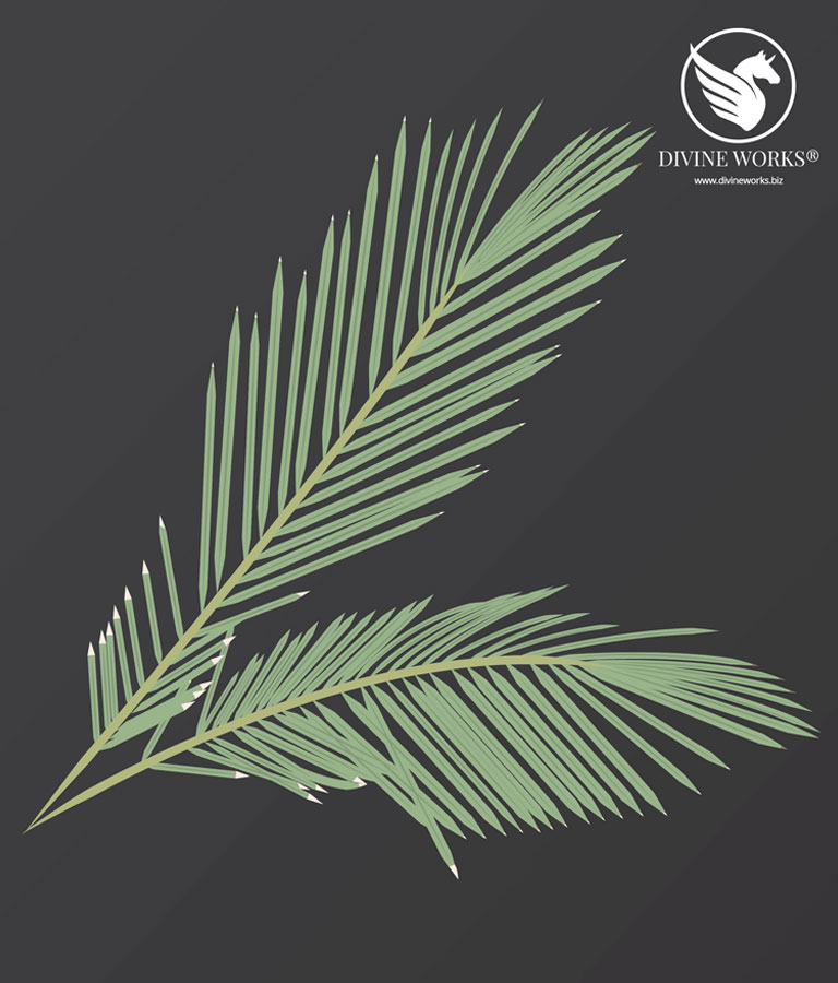 Palm Leaf Vector Illustration by Divine Works