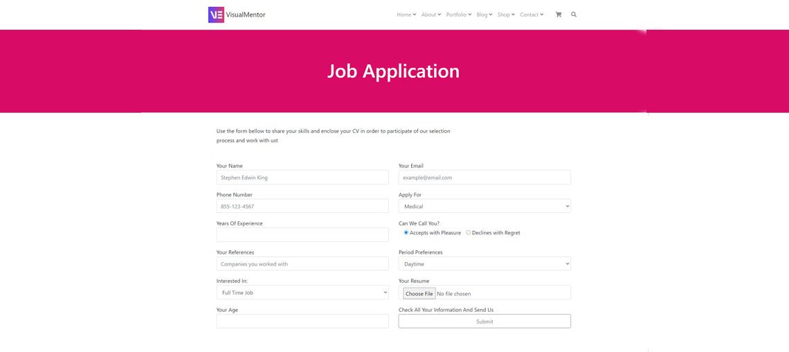 VisualMentor Elementor - VisualMentor Elementor WP Theme