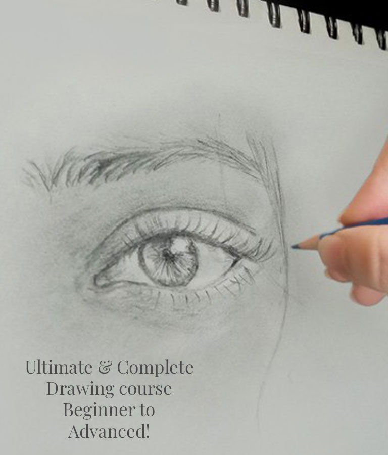 Ultimate & Complete Drawing course Beginner to Advanced!