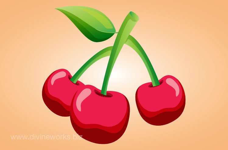 Cherry Fruit Vector Illustration