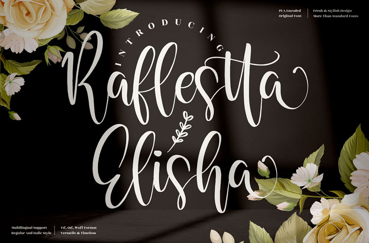 Raflestta Elisha Beautiful Script