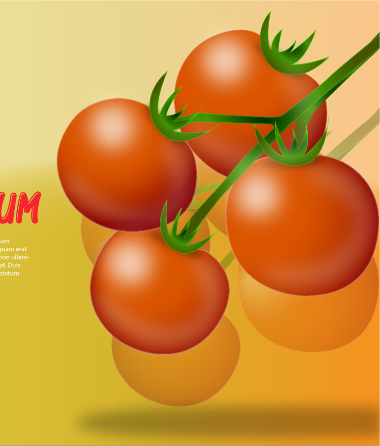Tomato Illustration Vector Art