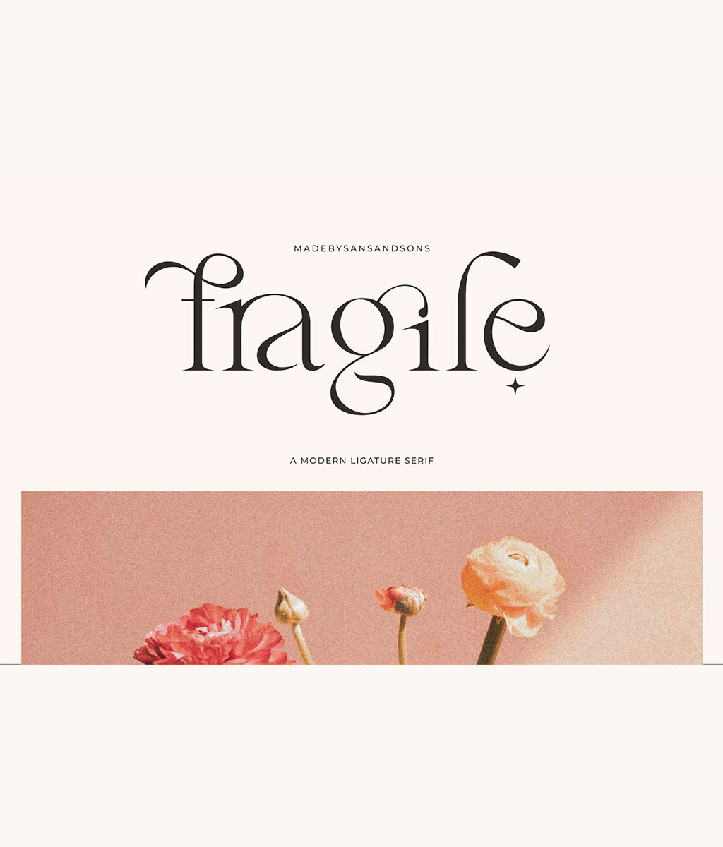 Fragile - Modern Serif