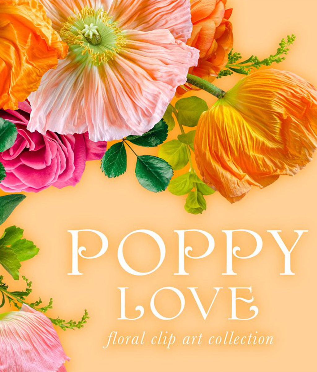 Poppy Love Floral Clip Art
