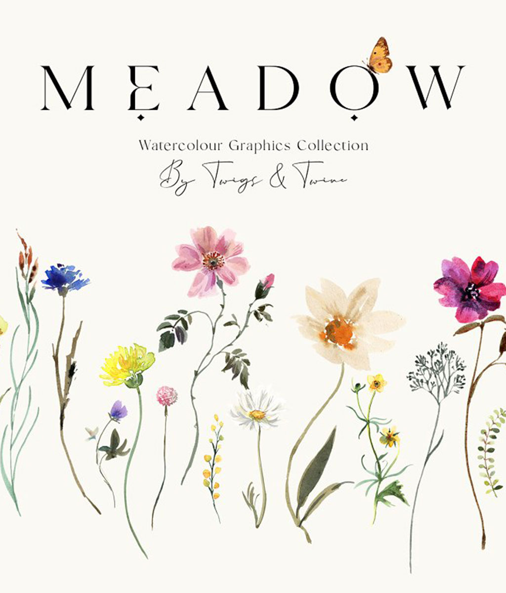 Meadow Watercolor Flowers